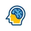 Cognitive Exams 5.0.8