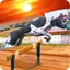 Dog Racer Simulation 2017 1.0