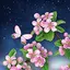 Night Sakura Live Wallpaper 1.0.8