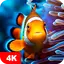 Fish Wallpapers 4K