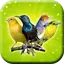 Pikat Burung kecil Lengkap