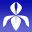 Instant Iris 1.3