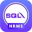 SQL HRMS 4.0.2