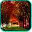 Autumn Wallpaper 3.0.7