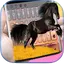 Equine keyboard 5.2