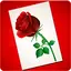 Greetings Images 1.1