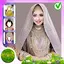 Traditional Wedding Dress Phot