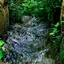 3d Nature Live Wallpaper 2.8