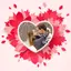 Valentine's Day Frames Photo Collage Editor 1.0