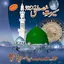 Seerat Un Nabi Urdu Book 12.0