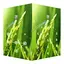 AppLock Live Theme Paddy 1.0