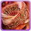 Wedding Turban Idea Gallery 3.0