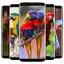 Cute Parrot Wallpaper 11.1