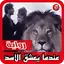 رواية - عندما يعشق الاسد