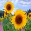 FlowerVisions by Landy® 1.0.2