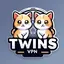 Twins VPN