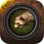 Forest Hunting 3.2