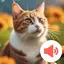 Cat Sounds: Meow for Ringtones 1.27.0
