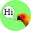 Parrot Speak