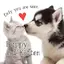 Puppy and Kitten +HOME 1.0.1