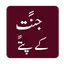 Jannat k Pattay Novel Offline 2.7