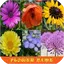Learn Flower Name
