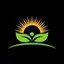 Ray Energy Solar 1.0