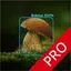 Mushrooms - AI Identifier PRO 2.16.0