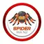 Spider web net 1.2