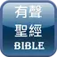 有聲聖經 22