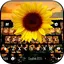 Sunflower Fields Theme 8.7.1_0619