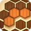 Wooden Hexa Puzzle 2.5