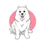 Maya Traveling Samoyed 1.0