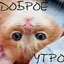 картинки с добрым утром 1.0.0