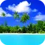 Beach Video Live Wallpaper Gal 11.0