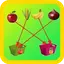 Kids Fruits Sorting Game 1