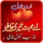 Ay Mohabbat Teri Khatir Novel 1.0