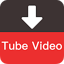You Video Downloader 22