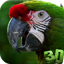 Parrot 3D Video Live Wallpaper 6.0