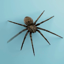 Spider Live Wallpaper 1.4