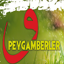 Peygamberler ve Hayatları 12