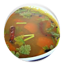Tamil Nadu Rasam Recipes (Tami 4.0
