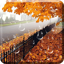 Maple Drops Live Wallpaper 1.0.4