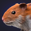 Hamster Clicker Earn Coins 1.1.1