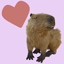 Capybara Sticker 1.0