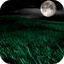 Night HD Video Wallpaper 7.0