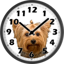 Sweet Yorkshire Clock 1.1