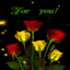Roses For You LWP 2