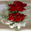Red Roses Bubble LWP 2