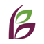 State Bank of Bement 3.21.0